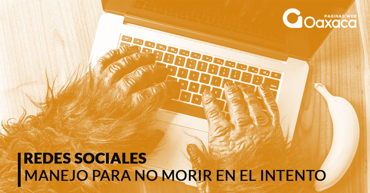 manejo rede sociales